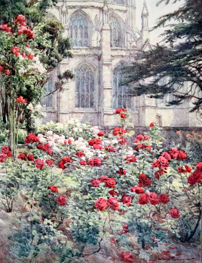 1914 Scarce Gardening Book - ROSES AND ROSE GARDENS by Walter P. Wright. Illustrated.