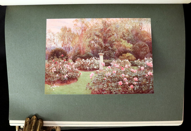1914 Scarce Gardening Book - ROSES AND ROSE GARDENS by Walter P. Wright. Illustrated.