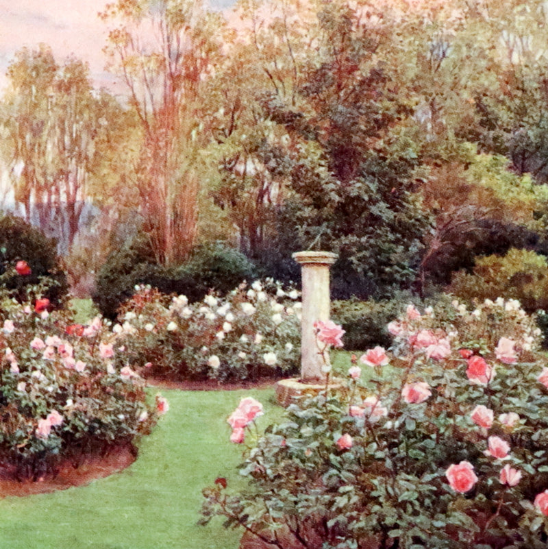 1914 Scarce Gardening Book - ROSES AND ROSE GARDENS by Walter P. Wright. Illustrated.