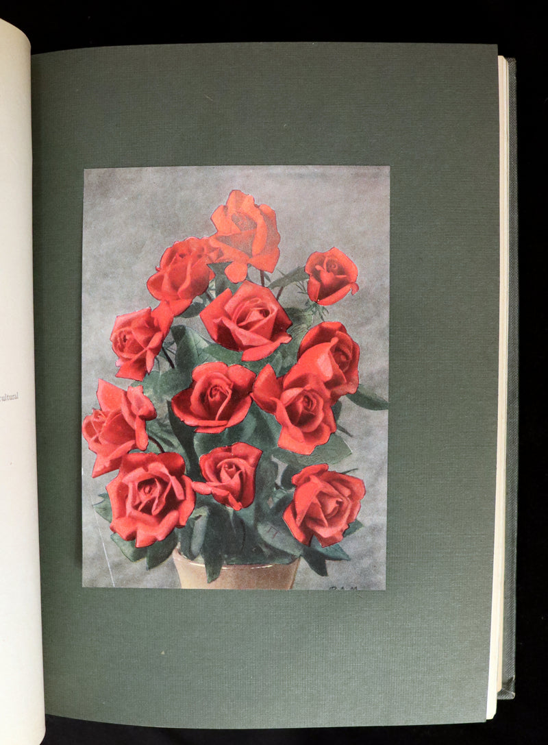 1914 Scarce Gardening Book - ROSES AND ROSE GARDENS by Walter P. Wright. Illustrated.