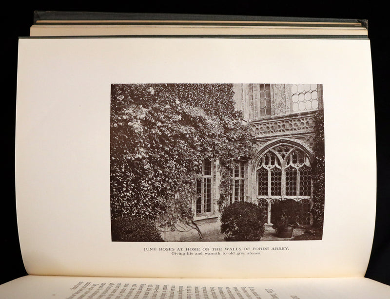 1914 Scarce Gardening Book - ROSES AND ROSE GARDENS by Walter P. Wright. Illustrated.