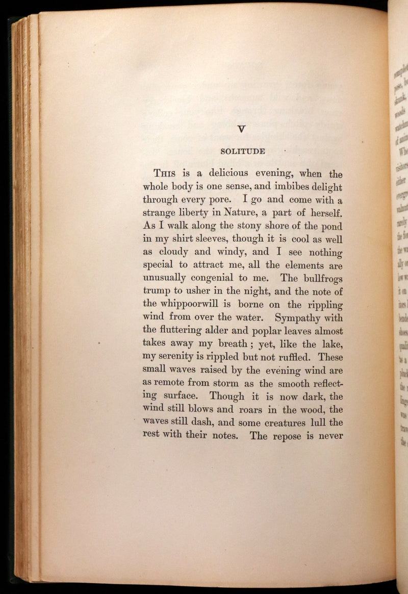 1893 Rare Book - WALDEN or, Life in the Woods by Henry David Thoreau.