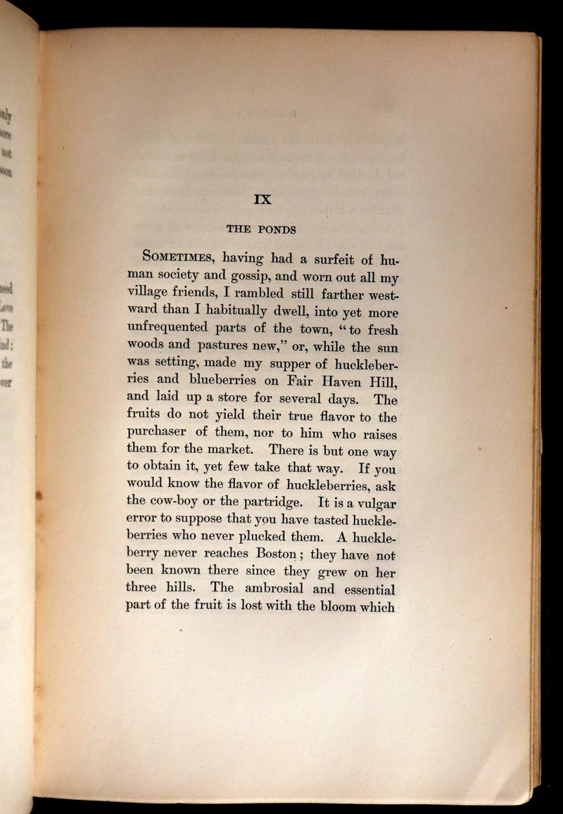 1893 Rare Book - WALDEN or, Life in the Woods by Henry David Thoreau.