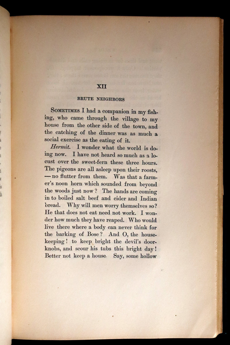 1893 Rare Book - WALDEN or, Life in the Woods by Henry David Thoreau.