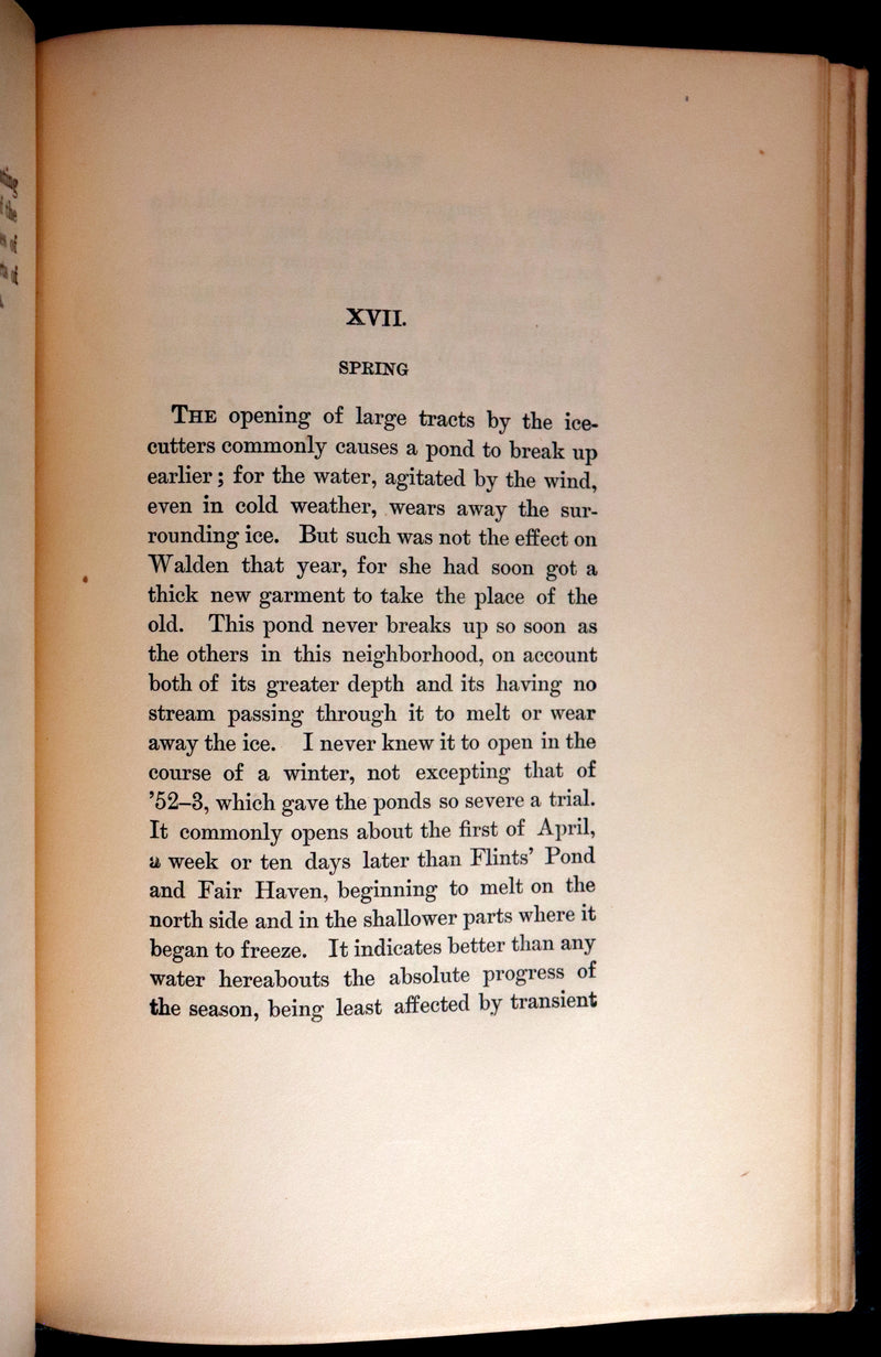 1893 Rare Book - WALDEN or, Life in the Woods by Henry David Thoreau.