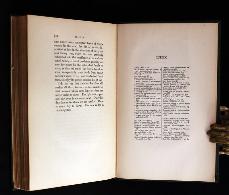 1893 Rare Book - WALDEN or, Life in the Woods by Henry David Thoreau.