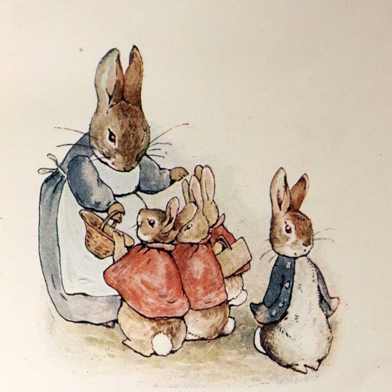 1904 Rare early Edition - THE TALE OF PETER RABBIT illustrated by Beatrix Potter.