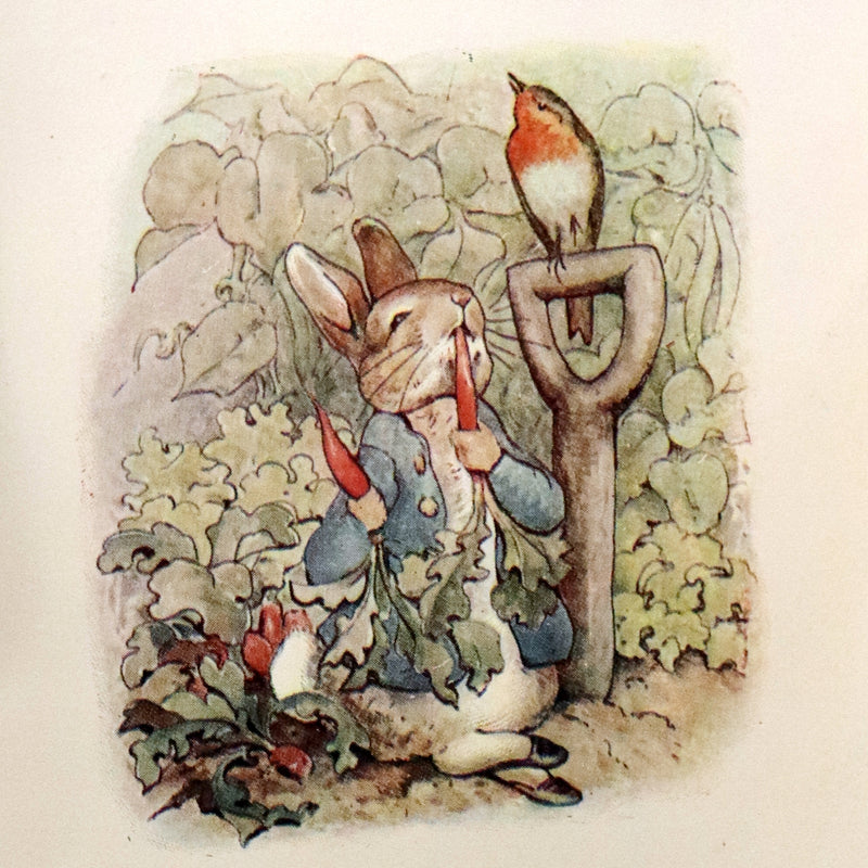 1904 Rare early Edition - THE TALE OF PETER RABBIT illustrated by Beatrix Potter.