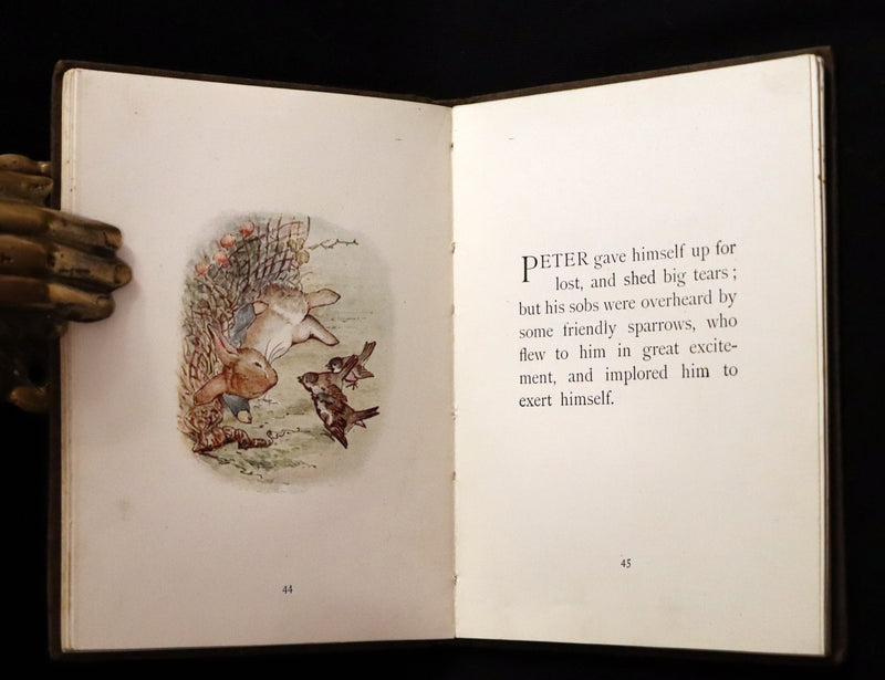 1904 Rare early Edition - THE TALE OF PETER RABBIT illustrated by Beatrix Potter.