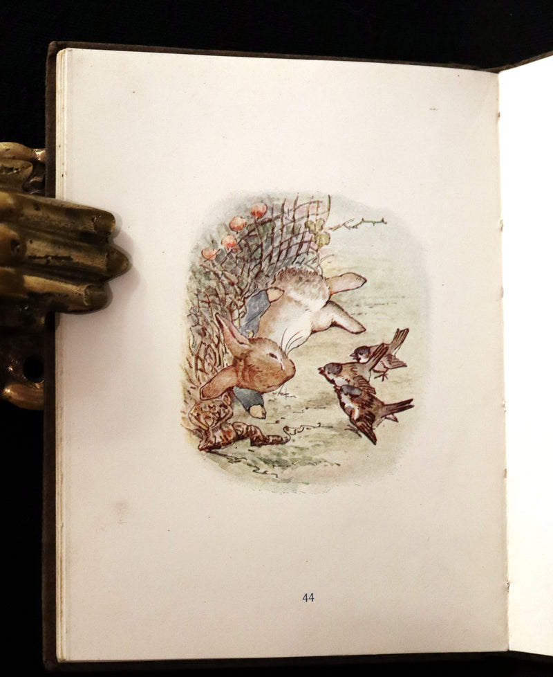 1904 Rare early Edition - THE TALE OF PETER RABBIT illustrated by Beatrix Potter.