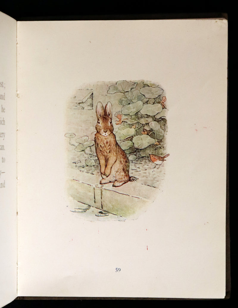 1904 Rare early Edition - THE TALE OF PETER RABBIT illustrated by Beatrix Potter.