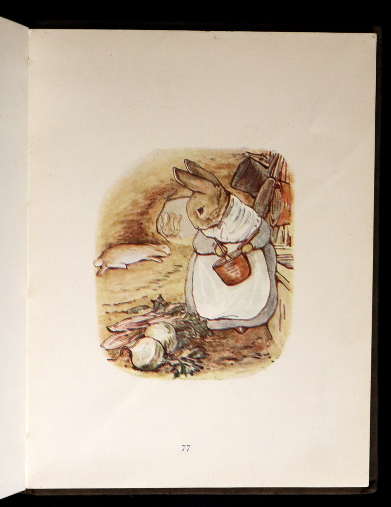 1904 Rare early Edition - THE TALE OF PETER RABBIT illustrated by Beatrix Potter.