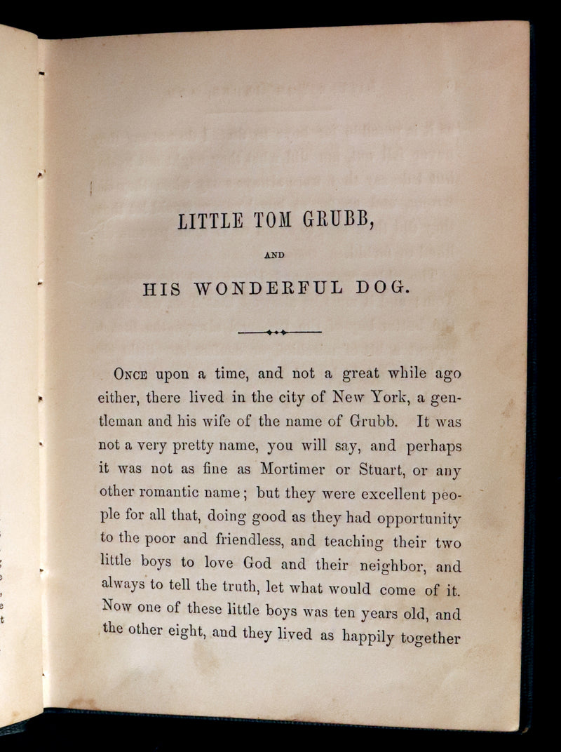 1859 Scarce Book - The FAIRIES IN AMERICA by Spencer W. Cone. Illustrated.