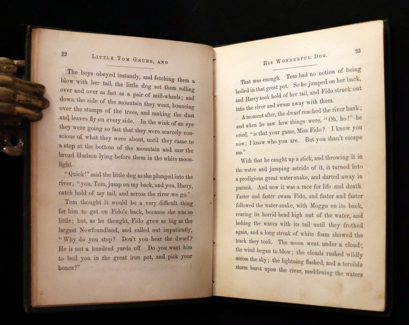 1859 Scarce Book - The FAIRIES IN AMERICA by Spencer W. Cone. Illustrated.