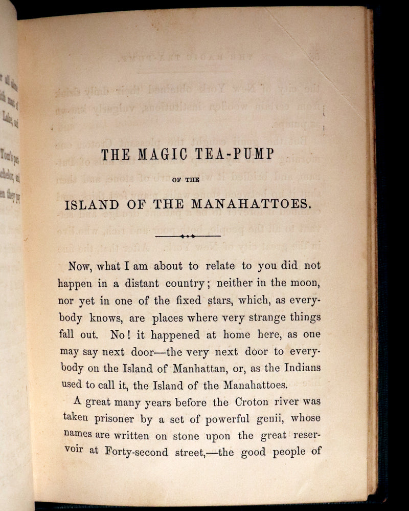 1859 Scarce Book - The FAIRIES IN AMERICA by Spencer W. Cone. Illustrated.