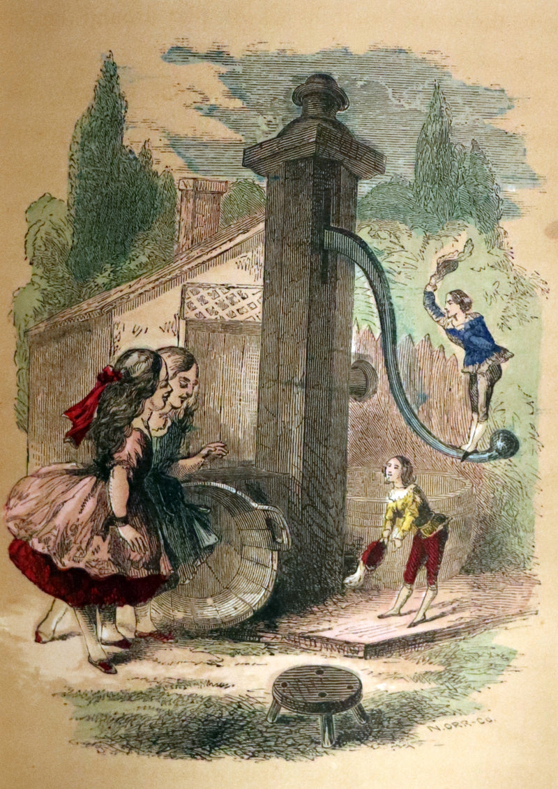 1859 Scarce Book - The FAIRIES IN AMERICA by Spencer W. Cone. Illustrated.