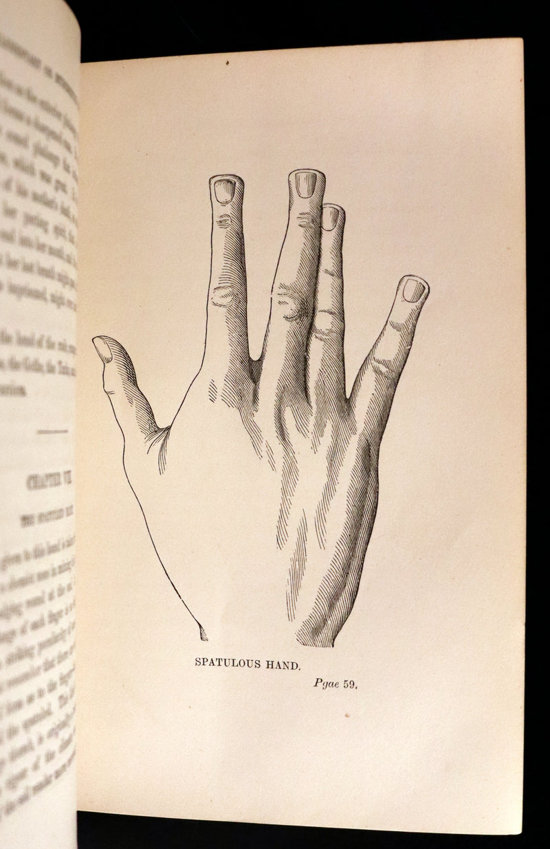 1890 Scarce Book - Your Luck's in your Hand, PALMISTRY with some account of the Gipsies