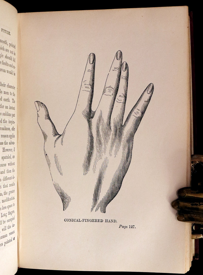 1890 Scarce Book - Your Luck's in your Hand, PALMISTRY with some account of the Gipsies