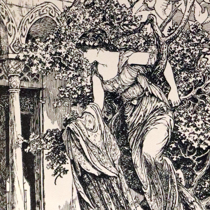 1904 Rare First Edition bound by Morrell - The BROWN FAIRY BOOK by Andrew Lang Illustrated by H. J. FORD.