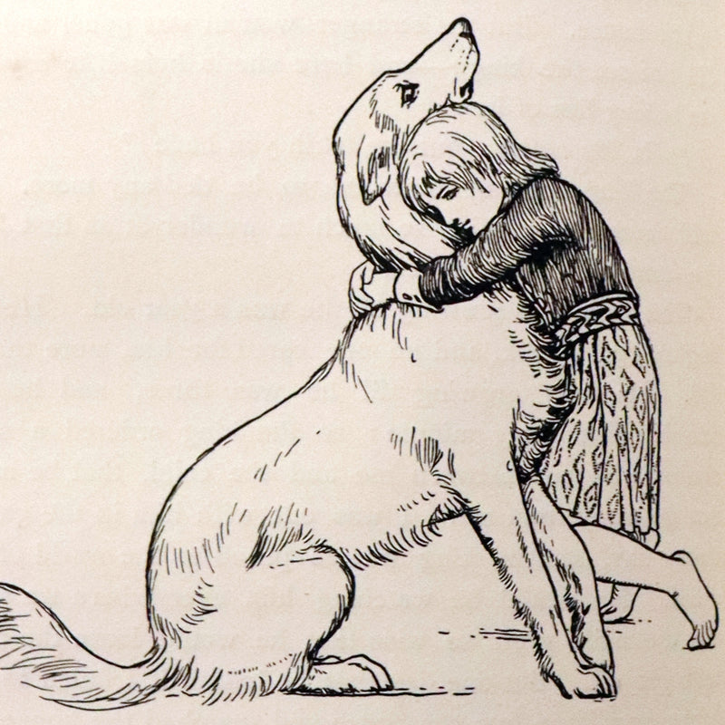 1894 Scarce First Edition - MORE CELTIC FAIRY TALES by Joseph Jacobs Illustrated by John D. Batten.