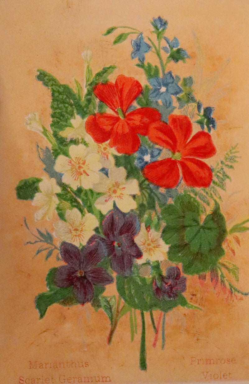 1870 Rare small Floriography Book ~ The Language of Flowers Adapted from The Language and Sentiment of Flowers.