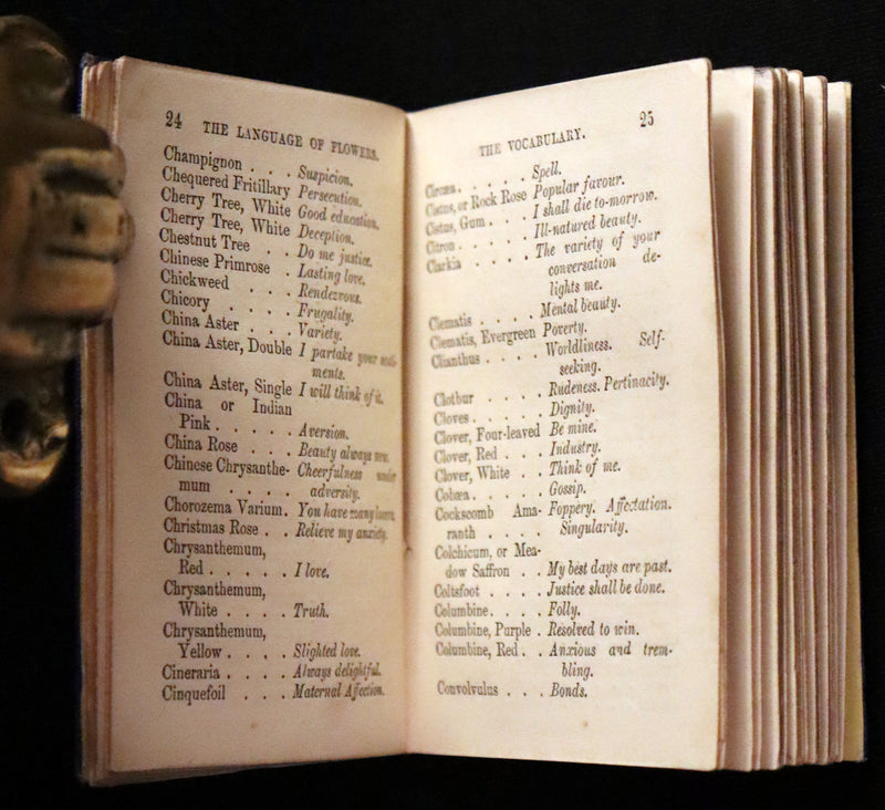 1870 Rare small Floriography Book ~ The Language of Flowers Adapted from The Language and Sentiment of Flowers.