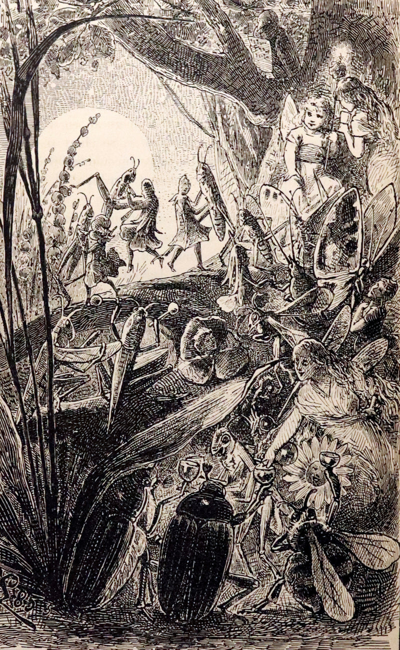 1889 Scarce First English Edition - New Fairy-Tales told by Aunt Emmy. Illustrated.