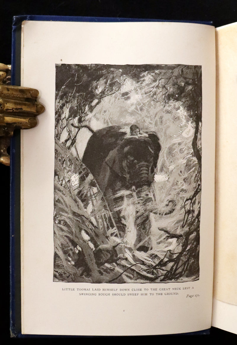 1894 Rare First Edition, second printing - The Jungle Book by Rudyard Kipling. Illustrated.