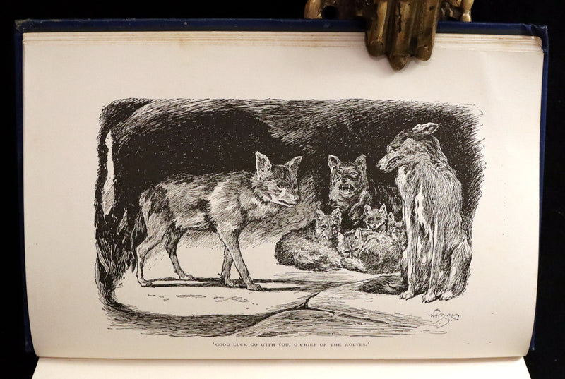 1894 Rare First Edition, second printing - The Jungle Book by Rudyard Kipling. Illustrated.
