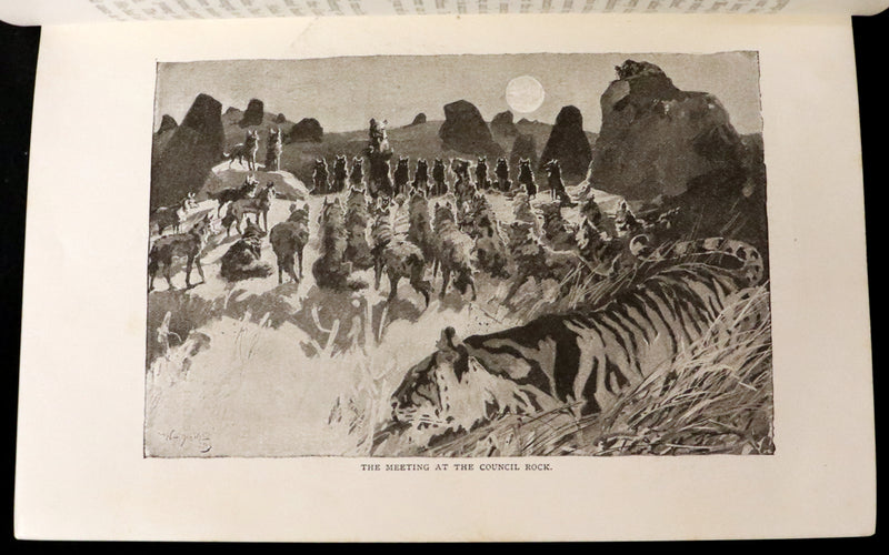1894 Rare First Edition, second printing - The Jungle Book by Rudyard Kipling. Illustrated.