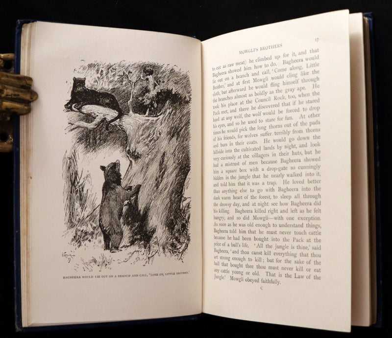 1894 Rare First Edition, second printing - The Jungle Book by Rudyard Kipling. Illustrated.