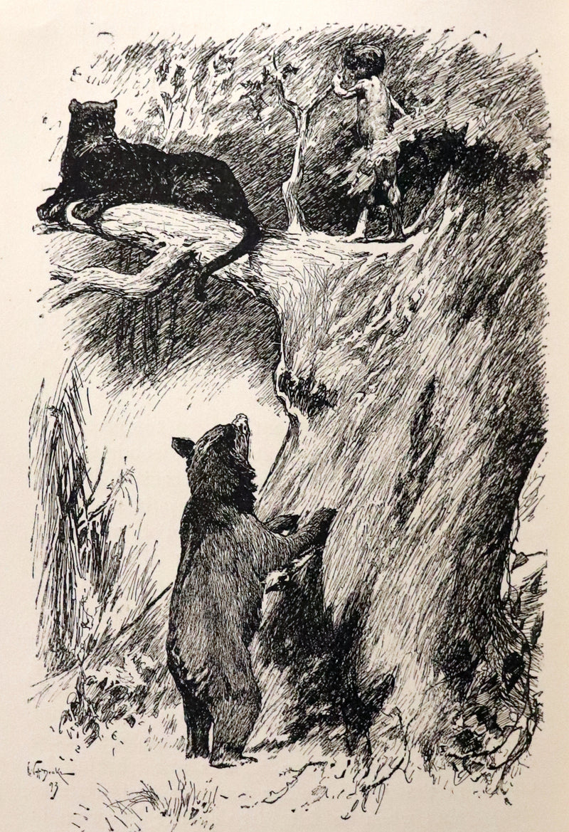 1894 Rare First Edition, second printing - The Jungle Book by Rudyard Kipling. Illustrated.