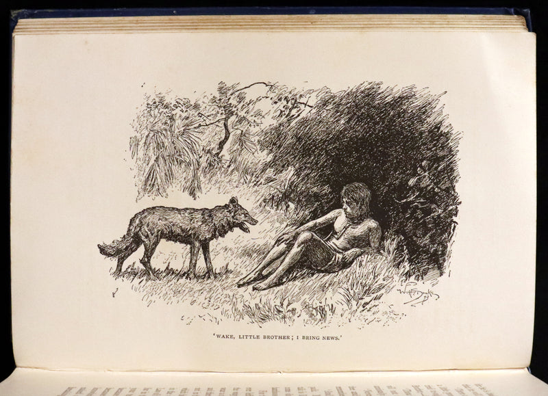 1894 Rare First Edition, second printing - The Jungle Book by Rudyard Kipling. Illustrated.