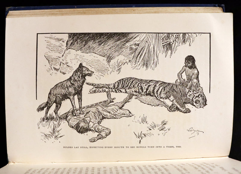 1894 Rare First Edition, second printing - The Jungle Book by Rudyard Kipling. Illustrated.