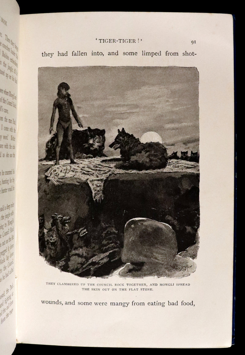 1894 Rare First Edition, second printing - The Jungle Book by Rudyard Kipling. Illustrated.