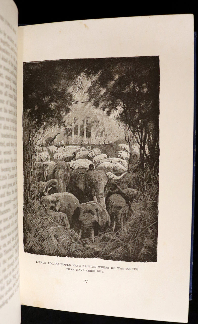 1894 Rare First Edition, second printing - The Jungle Book by Rudyard Kipling. Illustrated.