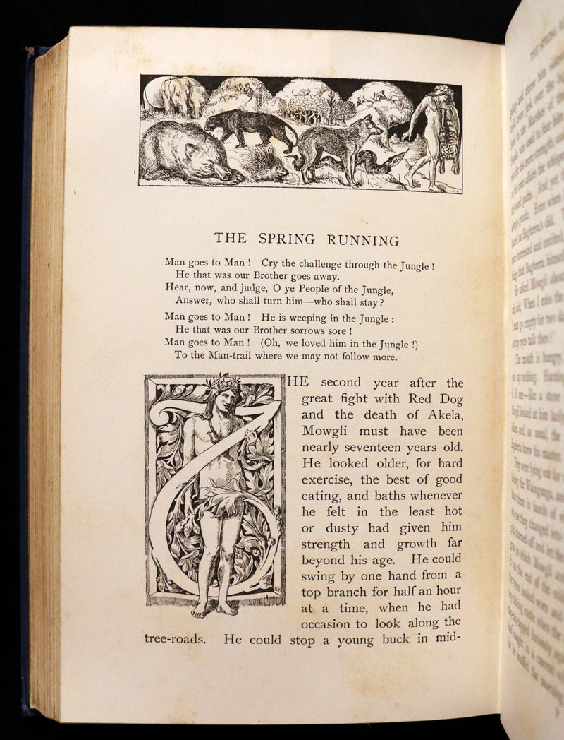 1895 Rare First Edition - The Second Jungle Book by Rudyard Kipling.
