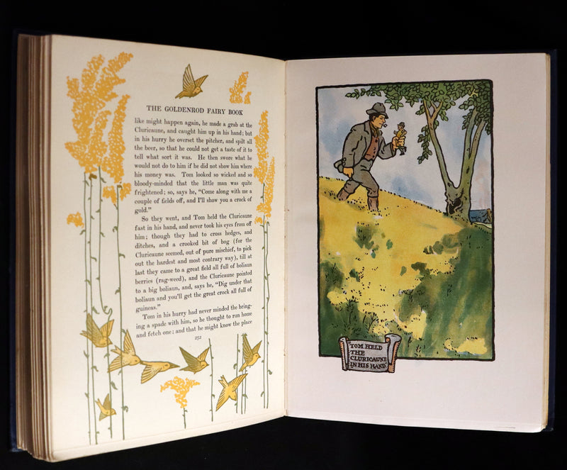 1903 Scarce First Edition - The GOLDENROD FAIRY BOOK illustrated by Charles Buckles Falls.