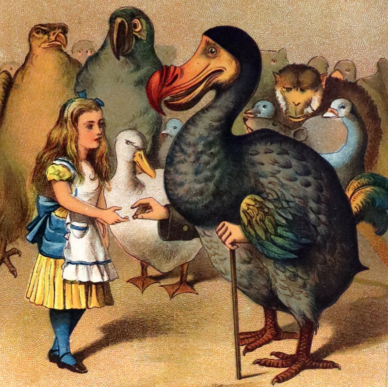 1912 Scarce McKay color Edition - Alice's Adventures in Wonderland & Through the Looking-Glass.