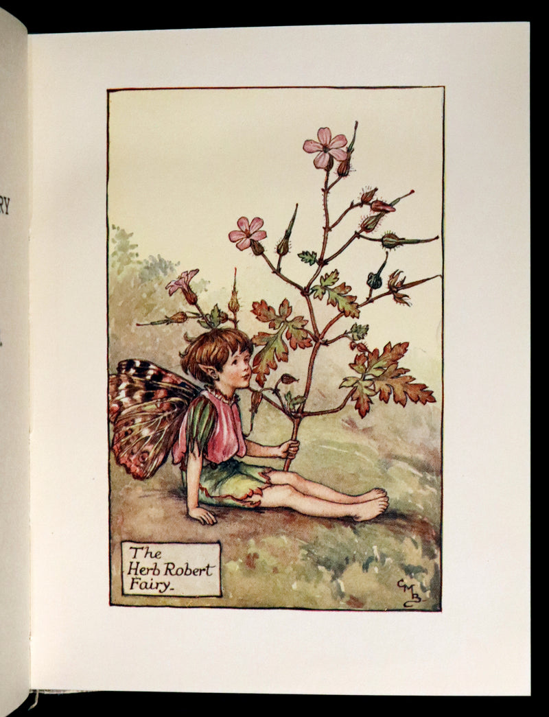 1925 Rare Book - Cicely Mary Barker - FLOWER FAIRIES OF THE SUMMER.