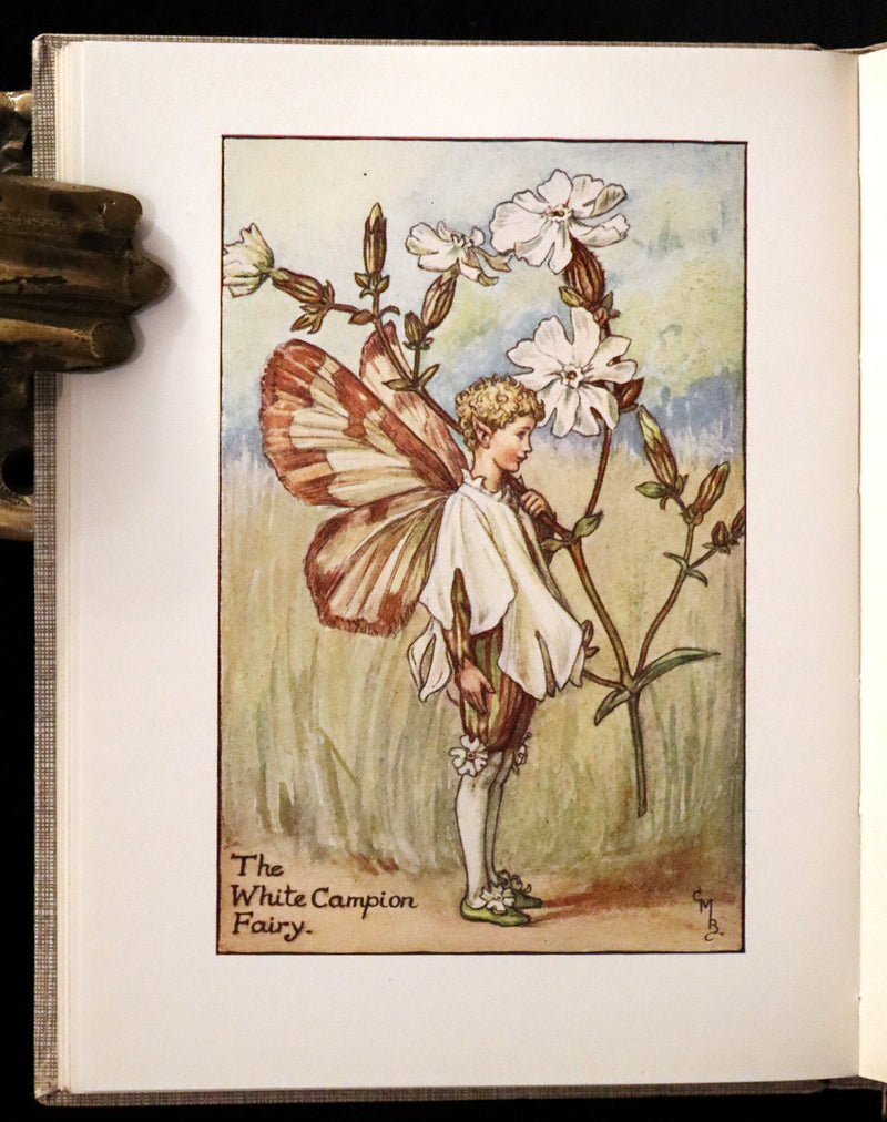 1925 Rare Book - Cicely Mary Barker - FLOWER FAIRIES OF THE SUMMER.