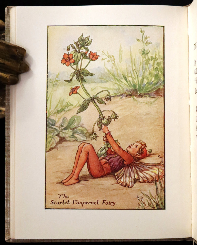 1925 Rare Book - Cicely Mary Barker - FLOWER FAIRIES OF THE SUMMER.