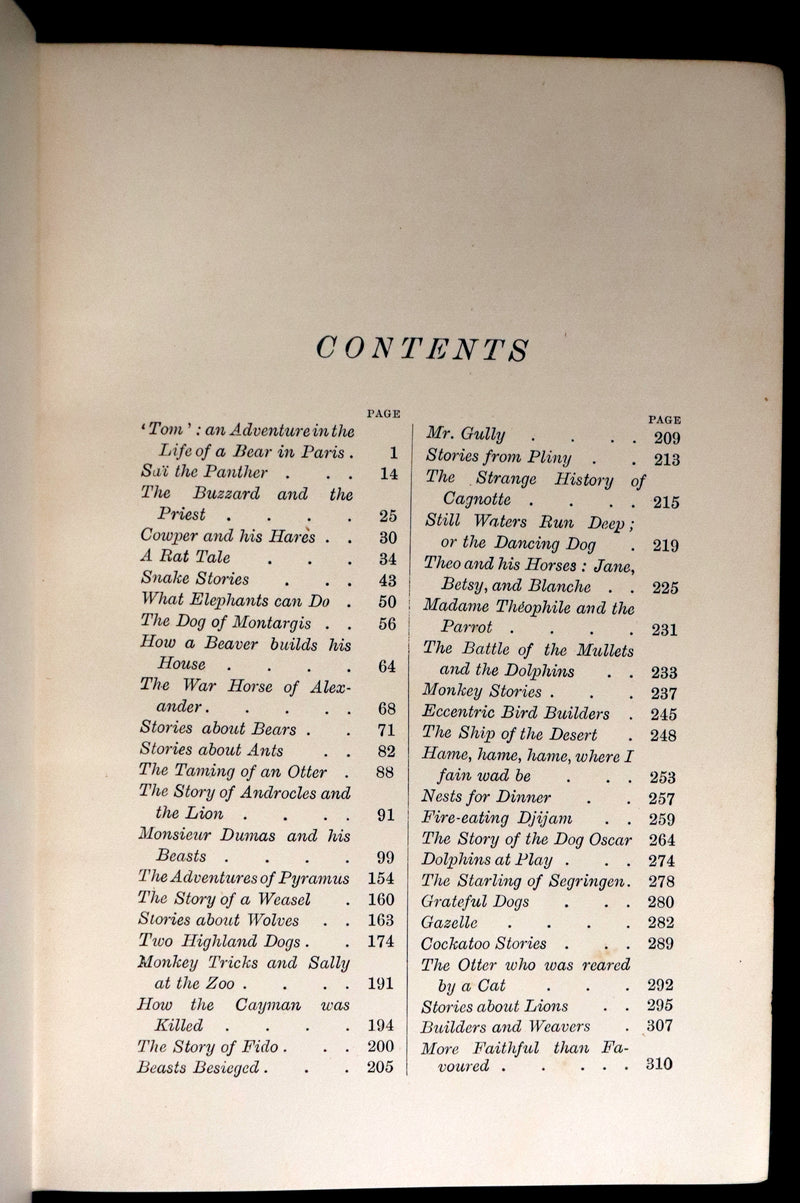1896 First Edition Book - The Animal Story Book by Andrew Lang Illustrated by H. J. FORD.