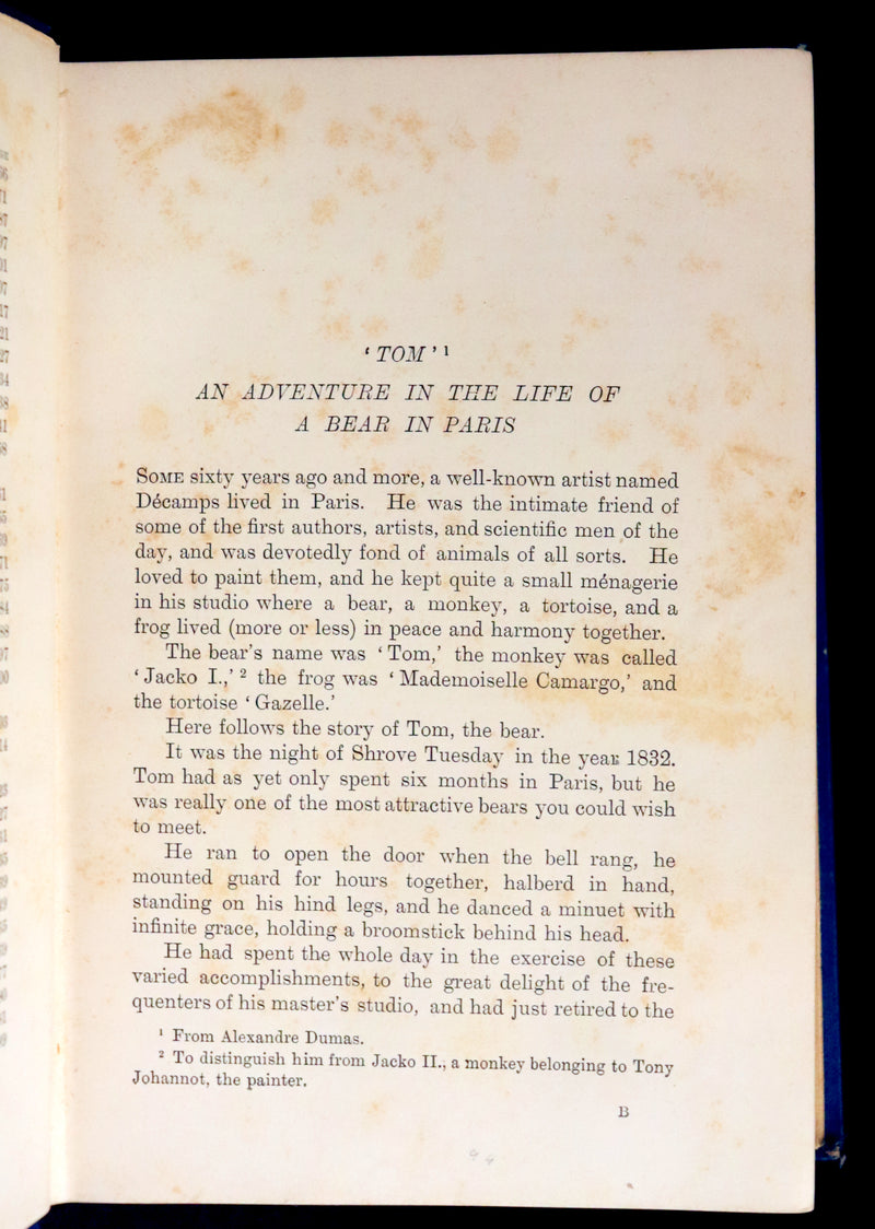 1896 First Edition Book - The Animal Story Book by Andrew Lang Illustrated by H. J. FORD.
