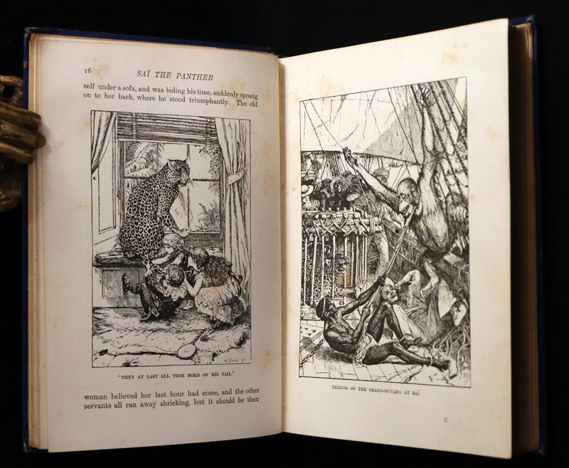 1896 First Edition Book - The Animal Story Book by Andrew Lang Illustrated by H. J. FORD.