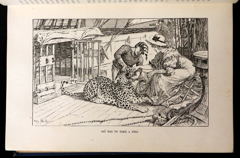 1896 First Edition Book - The Animal Story Book by Andrew Lang Illustrated by H. J. FORD.