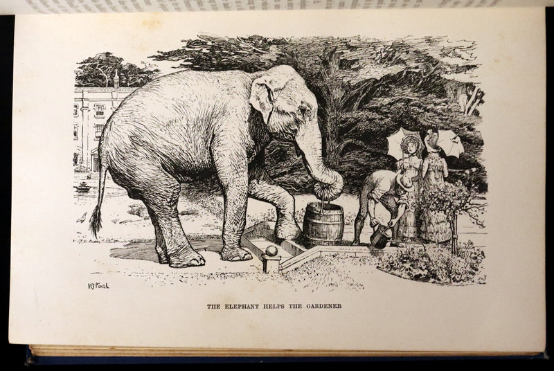 1896 First Edition Book - The Animal Story Book by Andrew Lang Illustrated by H. J. FORD.