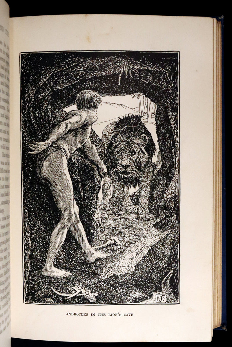 1896 First Edition Book - The Animal Story Book by Andrew Lang Illustrated by H. J. FORD.