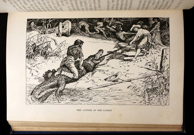 1896 First Edition Book - The Animal Story Book by Andrew Lang Illustrated by H. J. FORD.