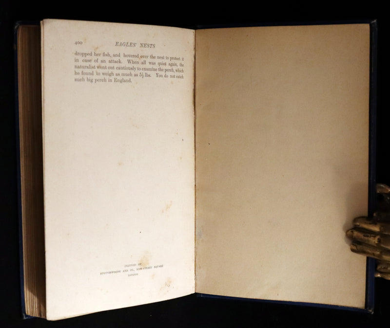 1896 First Edition Book - The Animal Story Book by Andrew Lang Illustrated by H. J. FORD.